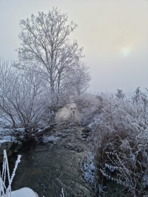 Vinter i dalen